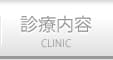 診療内容